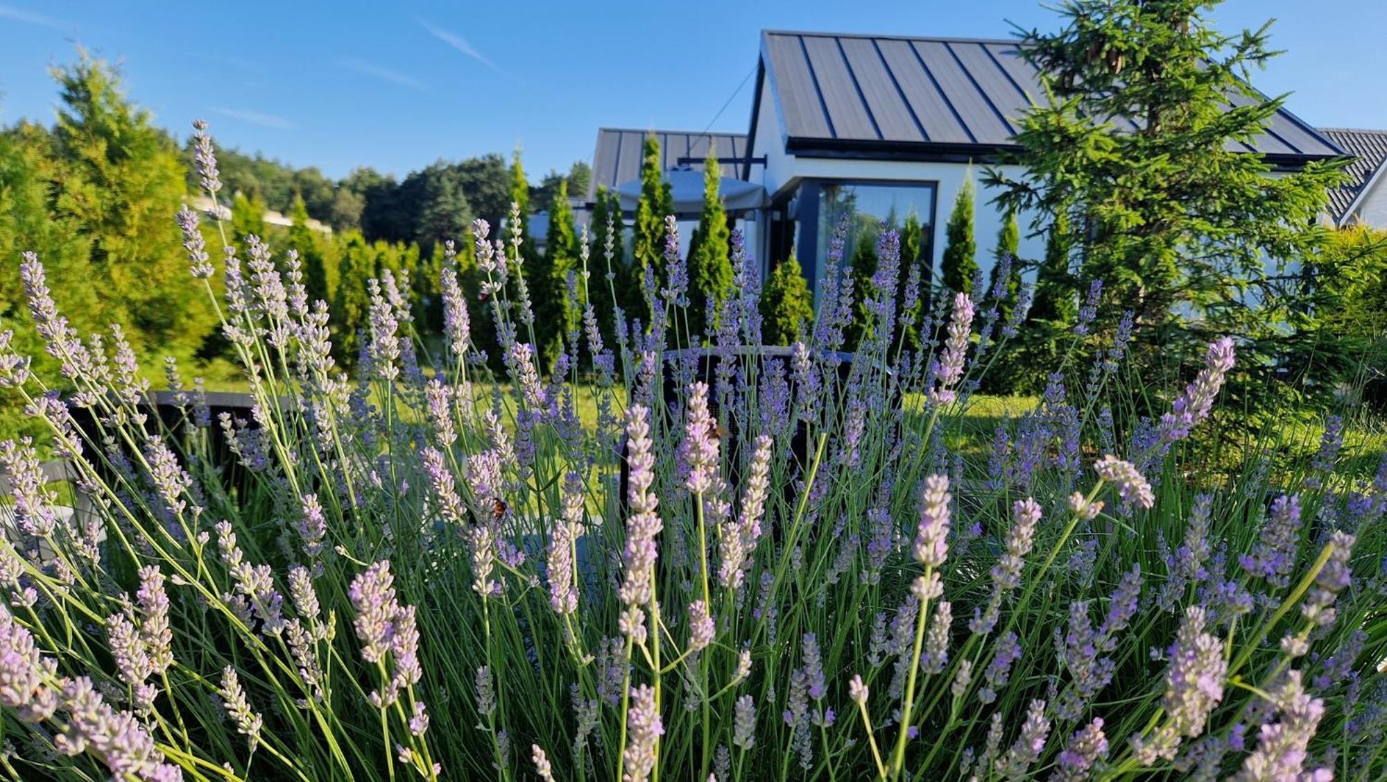 5 Zmysłów akademia wypoczynku Domki Grzybowo  Exterior foto